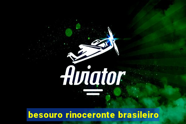 besouro rinoceronte brasileiro